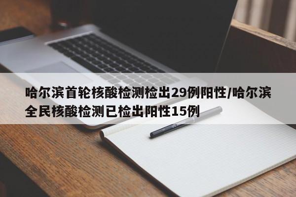 哈尔滨首轮核酸检测检出29例阳性/哈尔滨全民核酸检测已检出阳性15例